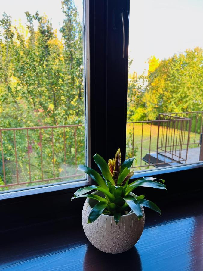 Penzion Villa Ancora Šumperk Zimmer foto